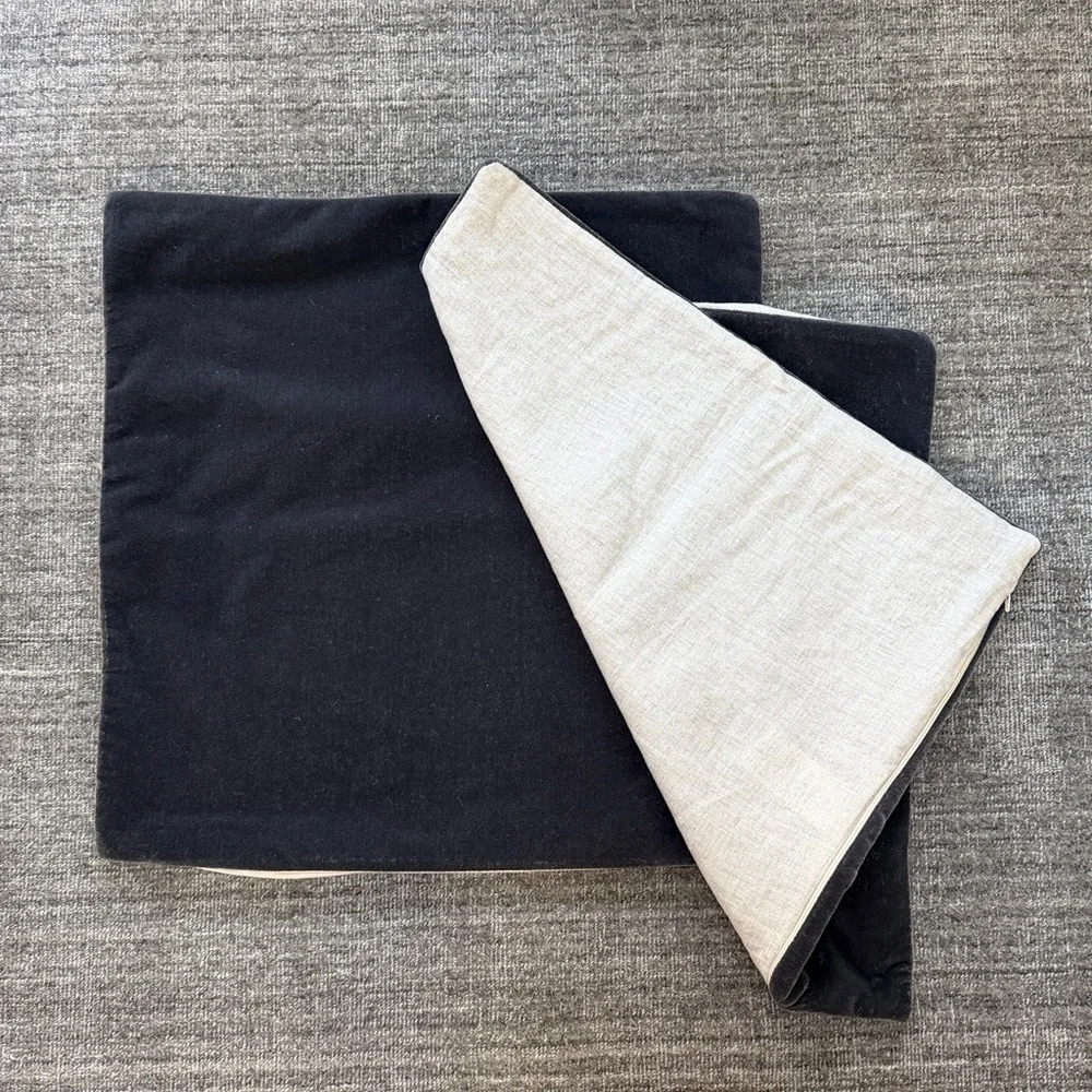 Two Matching Accent Pillowcases 20x20”